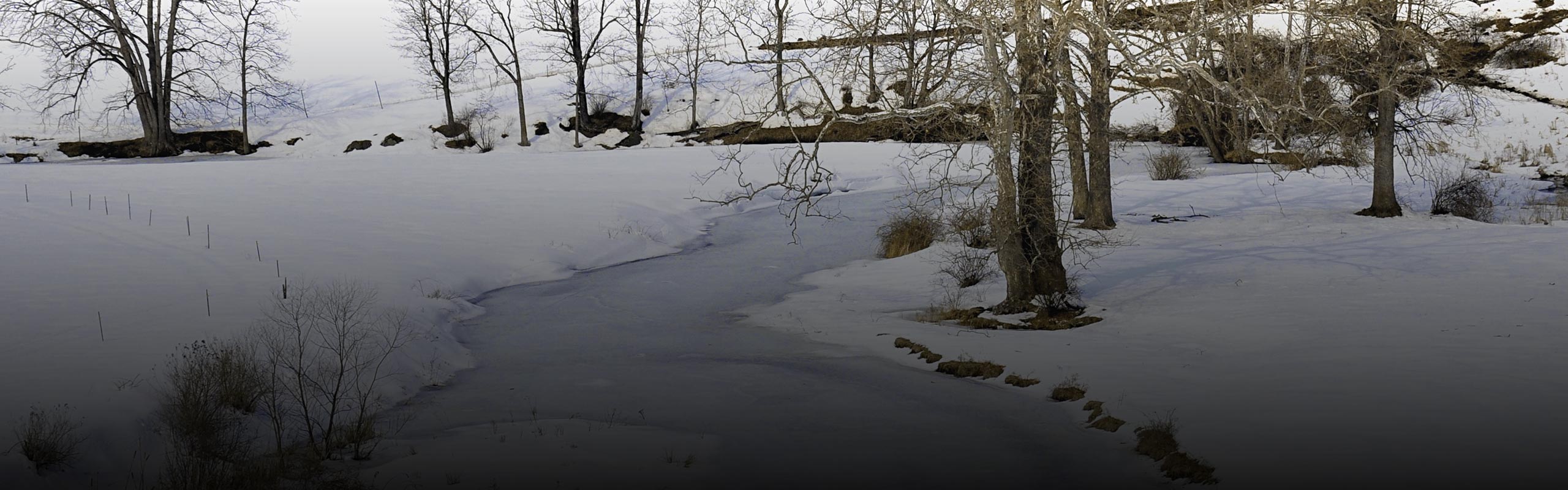 Kenneth Wishnick, New Paltz - winter field & stream